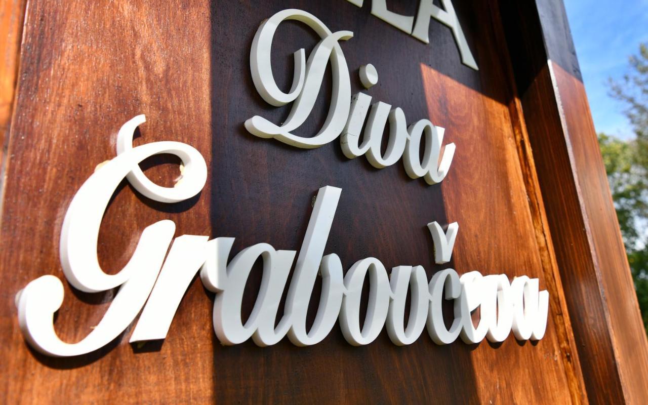 Villa Diva Grabovceva Раковица Экстерьер фото