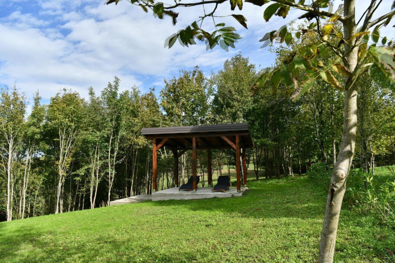 Villa Diva Grabovceva Раковица Экстерьер фото