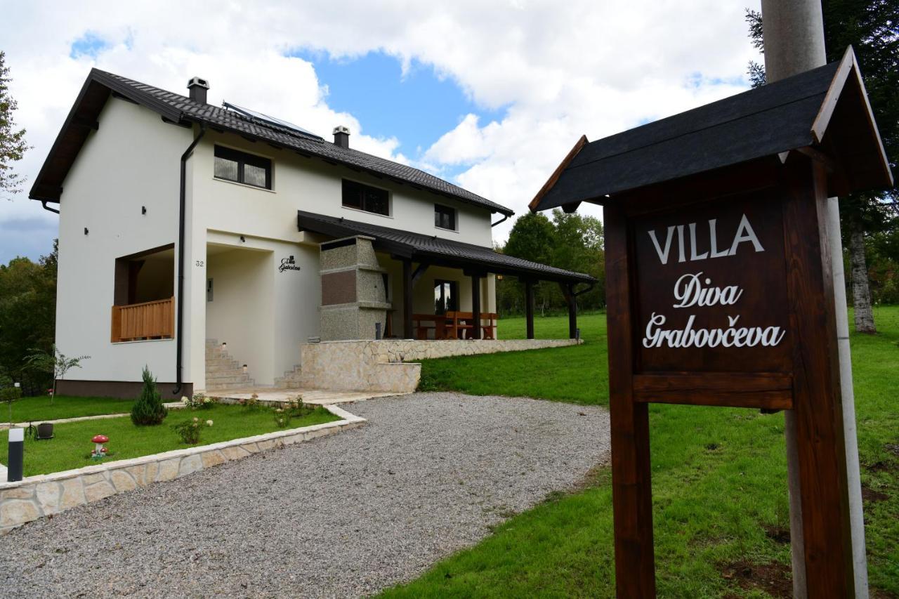 Villa Diva Grabovceva Раковица Экстерьер фото