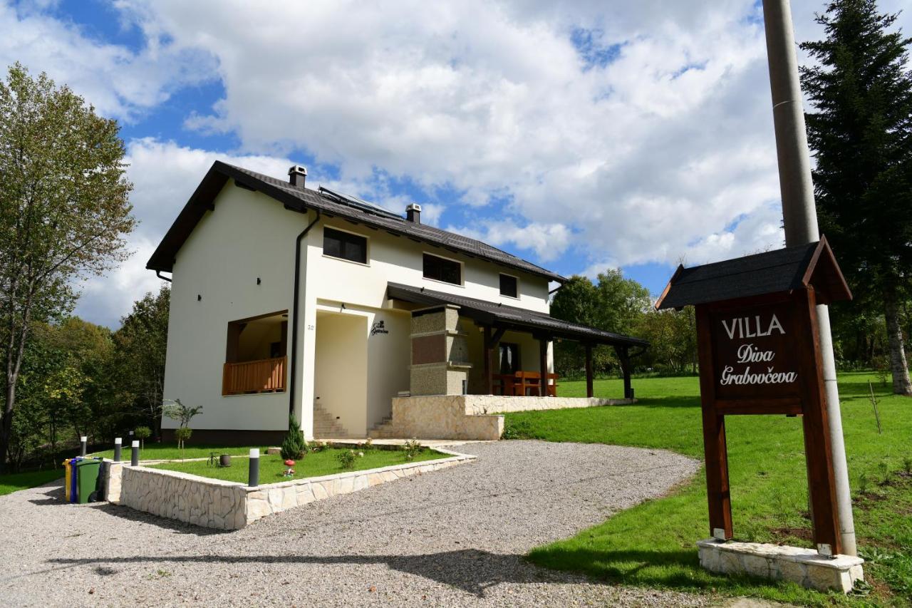 Villa Diva Grabovceva Раковица Экстерьер фото